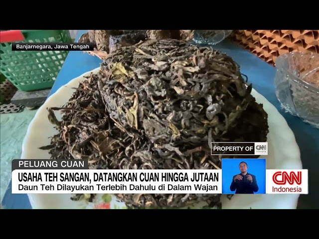 Youtube Thumnail image of : Usaha Teh Sangan, Datangkan Cuan hingga Jutaan