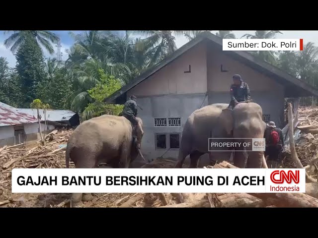 Youtube Thumnail image of : Gajah Dikerahkan untuk Bersihkan Puing dan Material di Aceh