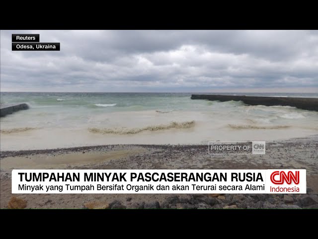 Tumpahan Minyak Pascaserangan Rusia di Ukraina: Dampak Lingkungan Mengkhawatirkan di Pantai Odesa