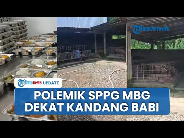 Youtube Thumnail image of : Ramai Disorot! Polemik Dapur SPPG di Sragen Dekat dengan Kandang Babi yang Telah Berdiri 50 Tahun
