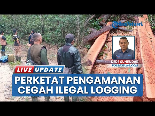 Youtube Thumnail image of : KPHP Gunung Duren Perketat Pengamanan Hutan, Cegah Ilegal Logging di Belitung Timur