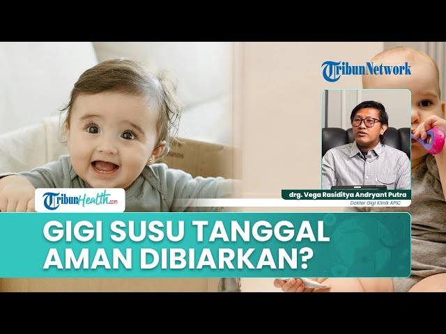 Youtube Thumnail image of : Gigi Susu Tanggal Terlalu Dini, Bolehkah Dibiarkan Sampai Gigi Permanen Tumbuh?Ini Penjelasan Dokter