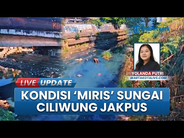 Sungai Ciliwung Menteng Jakpus Kotor, Jadi Sarang Nyamuk hingga Dipenuhi Semak Belukar