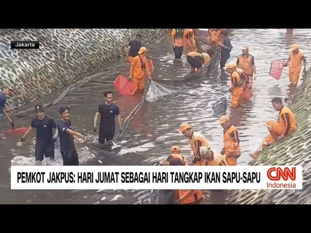Pemkot Jakpus: Hari Jumat Sebagai Hari Tangkap Ikan Sapu-Sapu